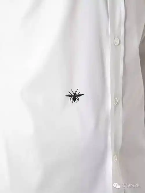 我们来聊聊新的dior吧.