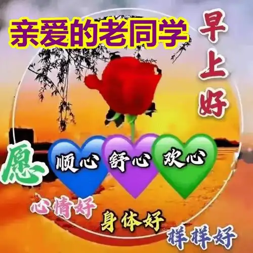 早上好表情包,亲爱的老同学,愿你心情好,身体好,样样好!_问候