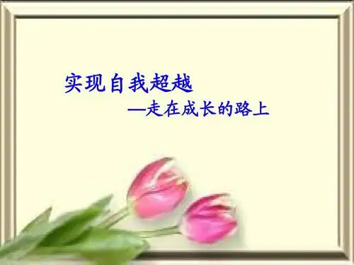 实现自我超越 —走在成长的路上