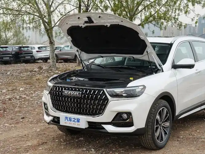 长城汽车 哈弗h6 2023款 国潮版 1.5t 自动冠军版