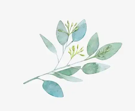 文艺清新花草花环海报设计装饰