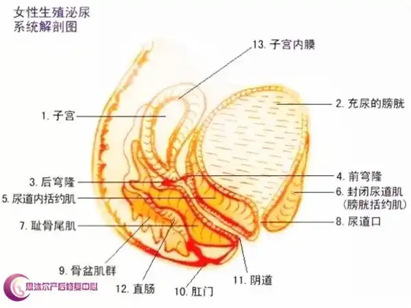 女人你有没有输在"起跑线"?
