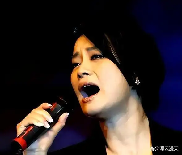 打败韦唯毛阿敏,却被亲弟弟砸成脑震荡,一代歌后沦为保姆谋生