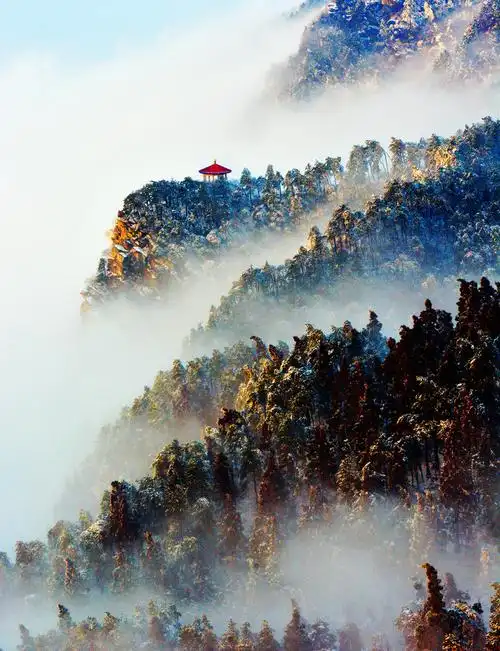 大美庐山云海,雾凇风光摄影团 开始报名!