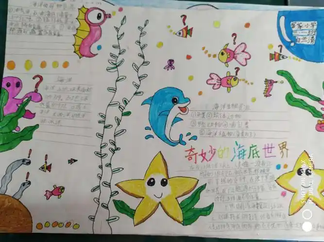 创意手抄报一奇妙的海底世界