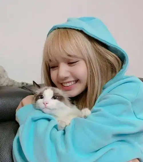 原创韩流艺人再度进入内娱他们钻限韩令的空子成选秀节目导师主力