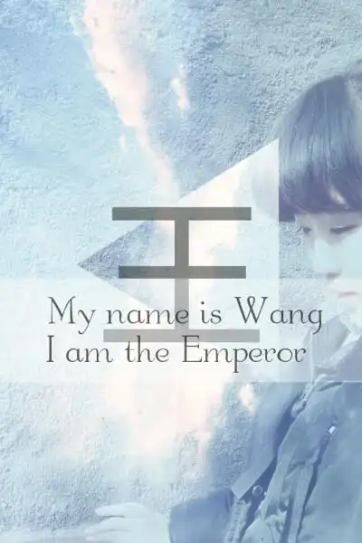 姓氏壁纸 王 my name is wang, i am the emperor我姓王我是皇