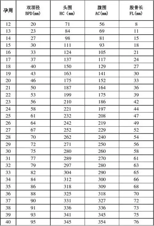 孕周与胎儿大小对照表