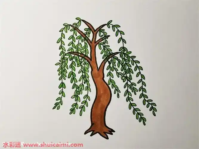 柳树怎么画简笔画柳树步骤教程图