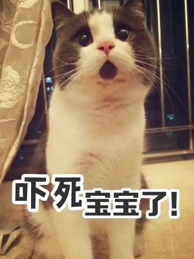 人类你在干什么,吓死本宝宝了