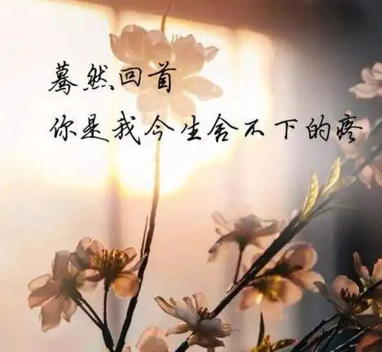 亲爱的你是我今生最美的遇见唯一的一次心动仅有的一次执着