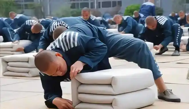 监狱里,不同监区有什么区别?|服刑|出监|监队_网易订阅