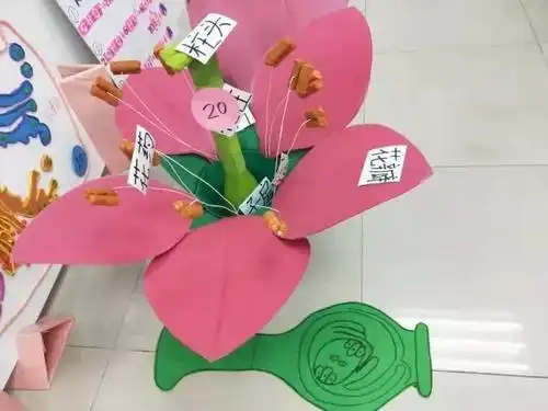 教具设计大赛学生作品"花的结构"