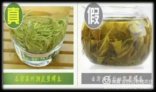 来自西山原产地的碧螺春!来农庄消费有惊喜,体验如何炒制茶叶