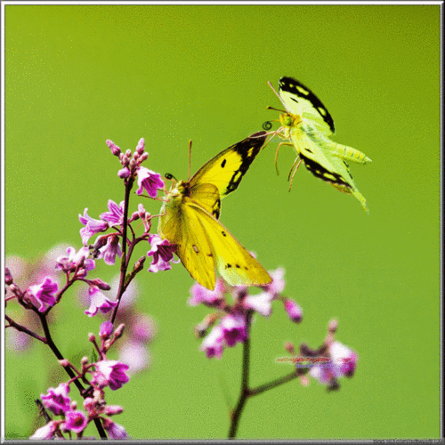 658_658gif 动态图 动图