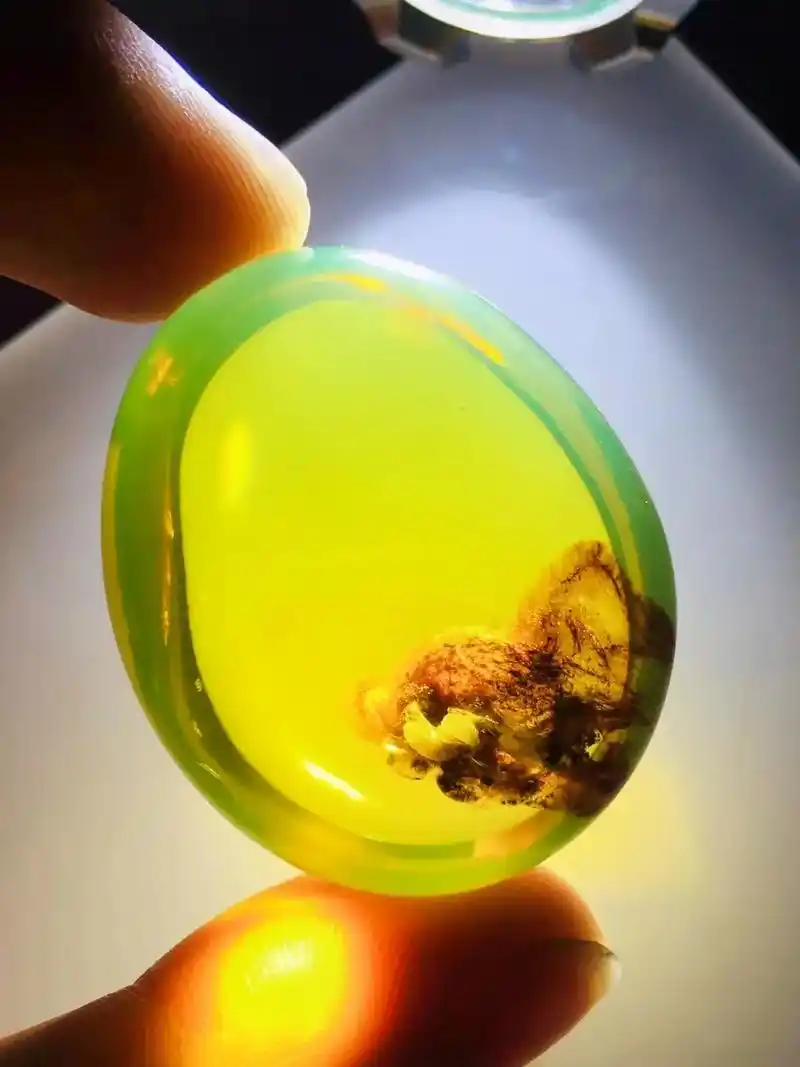 缅甸琥珀是世界上琥珀大家庭中最古老的琥珀