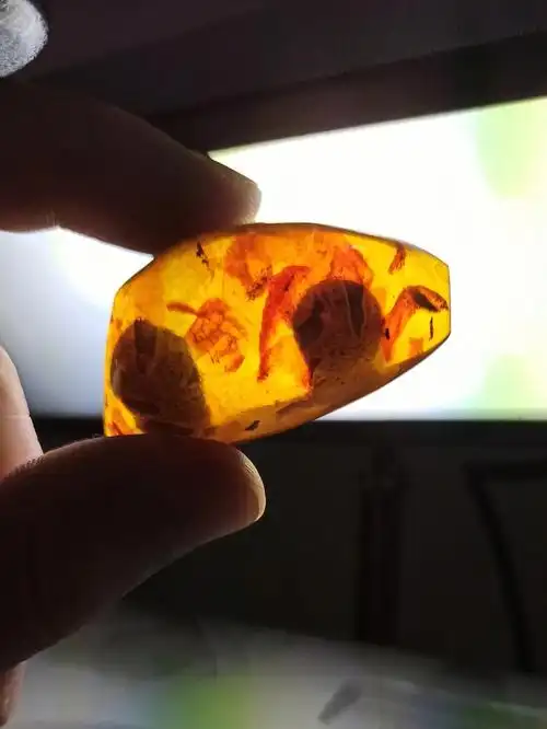 这样制作的琥珀可以观察到明显的颗粒状结构,还有扁平拉长状的气泡