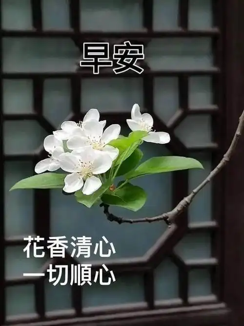 愿你在人生的旅途中,用一颗感恩的心,珍惜每一页的故事