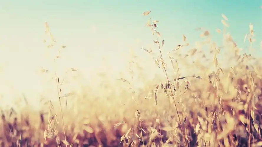 秋日温馨唯美自然风光高清壁纸