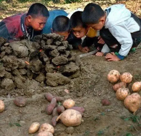 八零后的我们的童年记忆