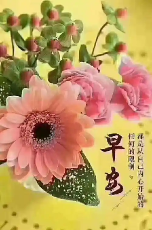 早上好姐妹们问候不变祝福大家一切安好