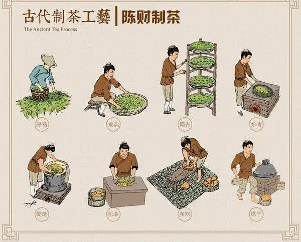 很多人都被动辄上万元一斤的古树茶给吓住了其实正宗