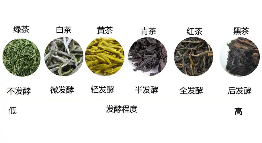 茶叶- 热门商品专区