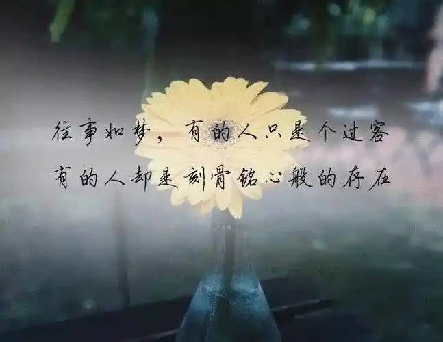 最让人心疼的伤感句子