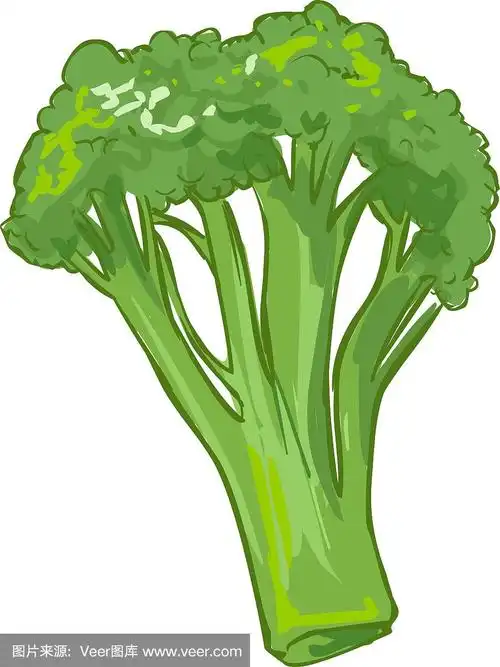 白色背景矢量插图的健康蔬菜西兰花