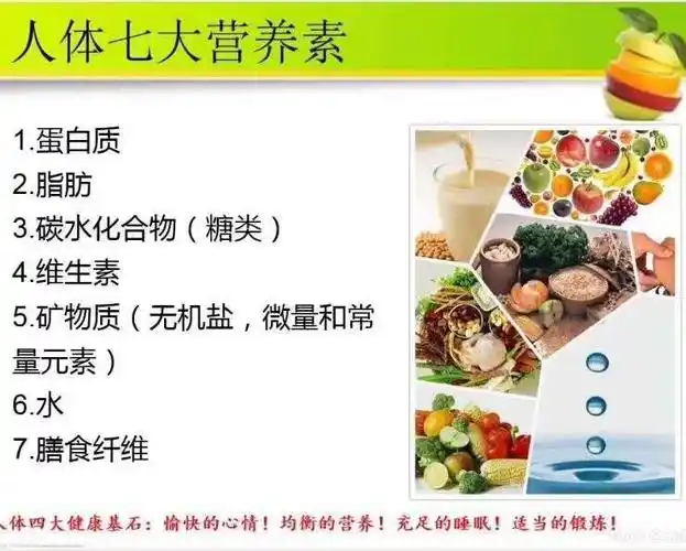 人体七大营养素 - 美篇