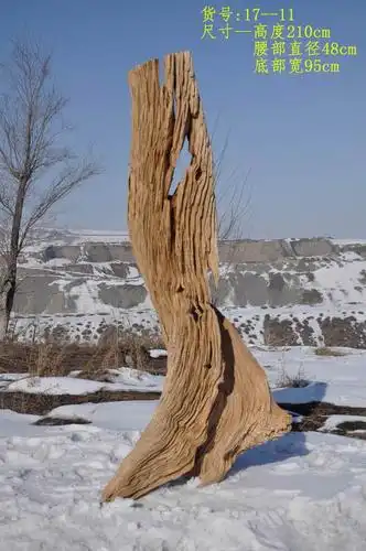 新疆戈壁玉裸石沙漠天然胡杨原木摆件天然工艺品包邮特价7600元