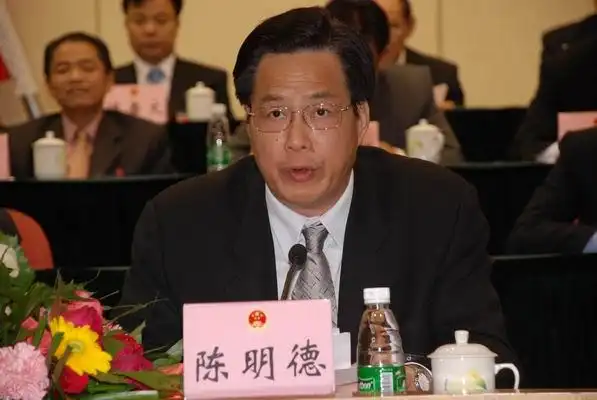 陈明德副市长作重要讲话