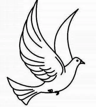 鸽子画法简笔画鸽子画法简笔画图片