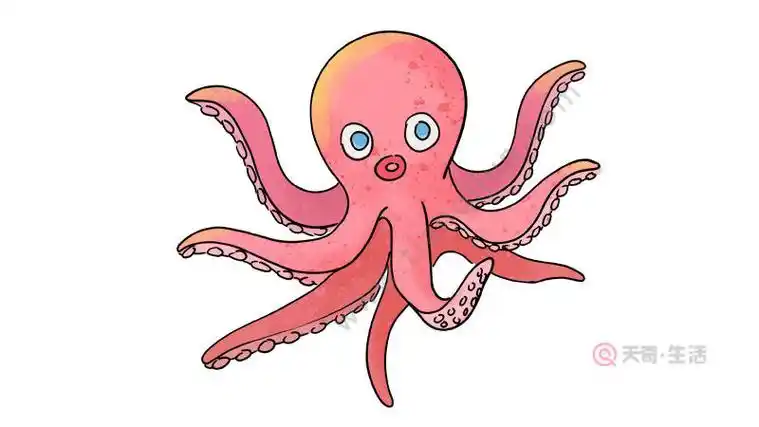 章鱼的简笔画