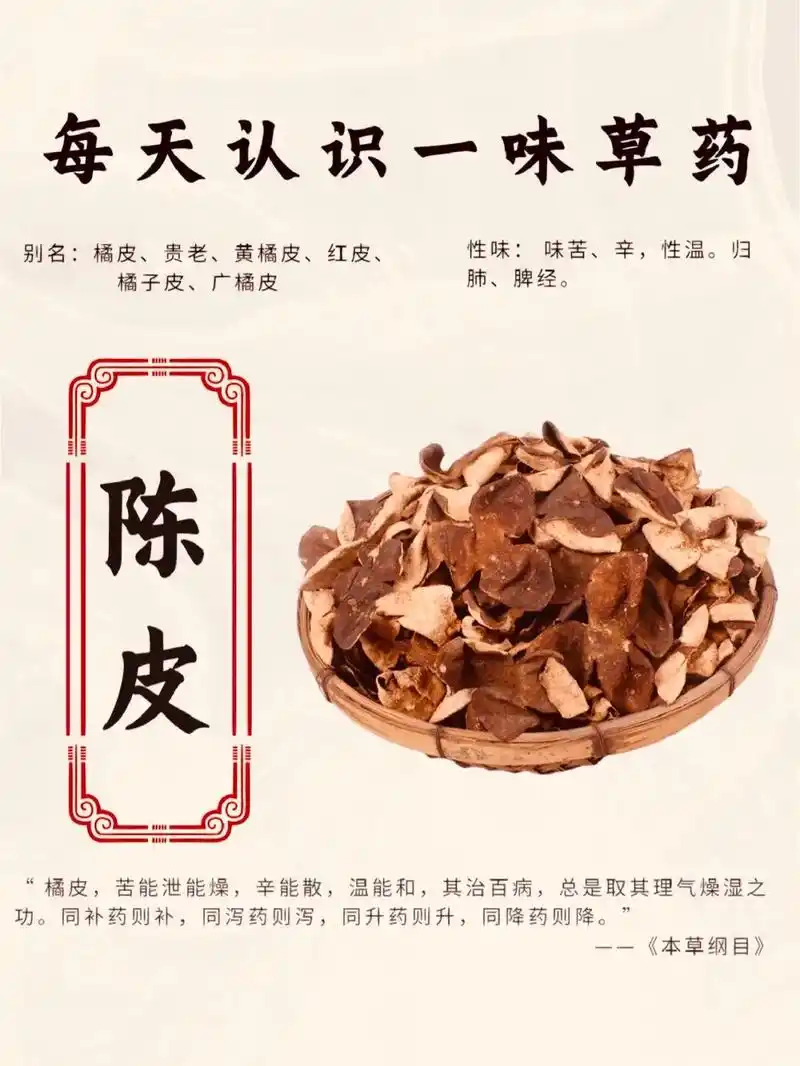 陈皮是一种理气药,为芸香科植物橘及其栽培变种的干燥成熟 - 抖音