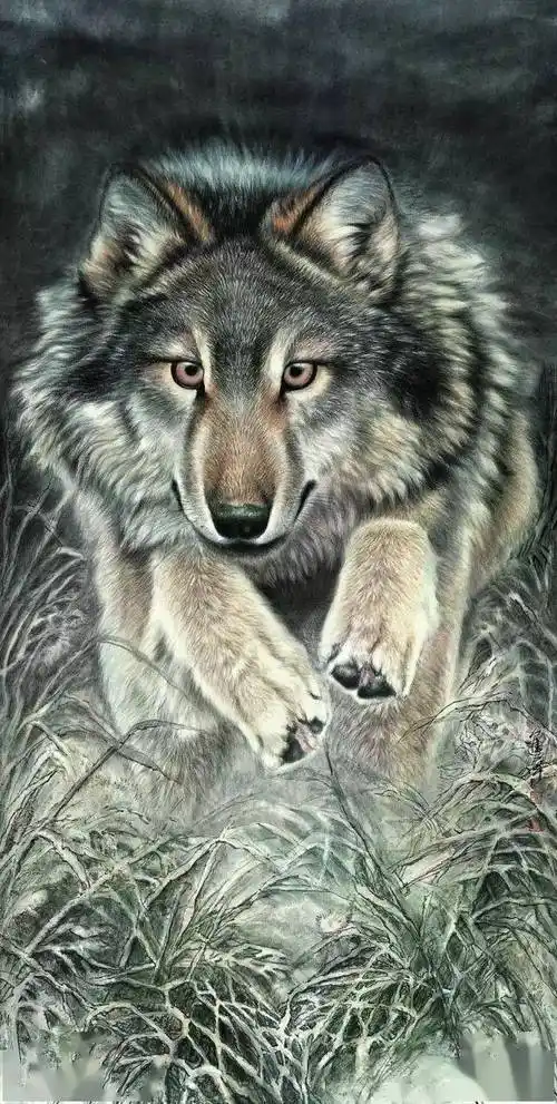 国画欣赏丨左进伟工笔画狼,太逼真!_传统_作品_绘画