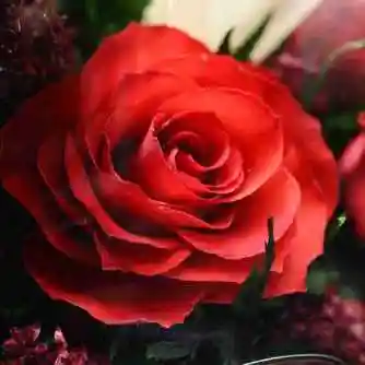 给女人带来好运的头像_2019最火爆微信头像_女人微信招财吉利头像