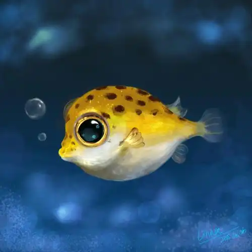 端水放一些可爱的鱼