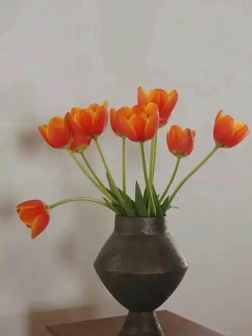 郁金香仙子与靖文的花器