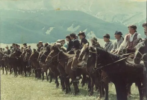 记忆中的伊吾军马场