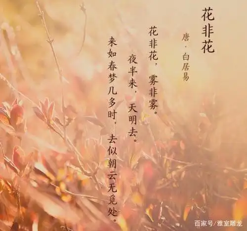 白居易26字短诗,情思朦胧缥缈,百思不得其解的千古谜题