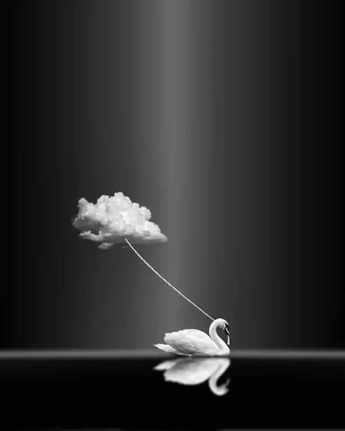 梦想与现实数码艺术家kathrin一组创意摄影作品欣赏