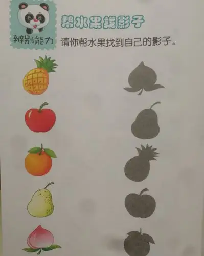 请小朋友们找出小动物们和水果的影子.