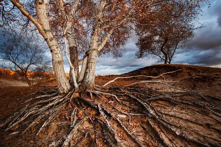 平定葛尔丹叛乱之地—乌兰布统古战场.