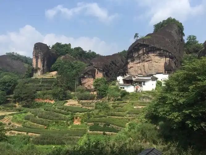 武夷岩茶之旅—马头岩