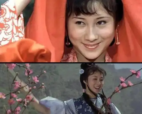 2001年丁岚回北京创立公司,公司的经营状况也是不错,业务发展到了国外