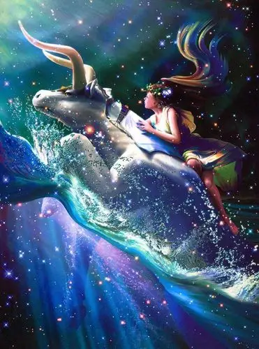 十二星座——金牛座