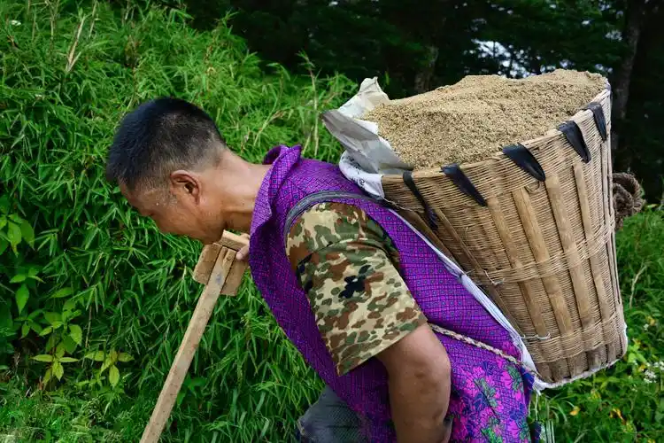 拄着拐杖,背着沉重的背篓拾级而上.