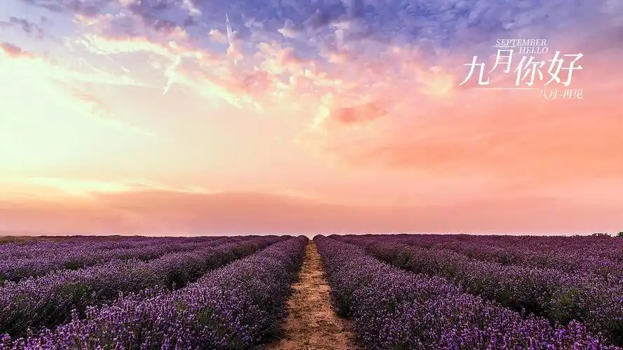 九月你好八月再见绚烂风景带字图片