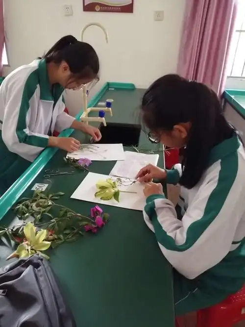 春光无限好,花草皆鲜美——记生物组制作植物标本